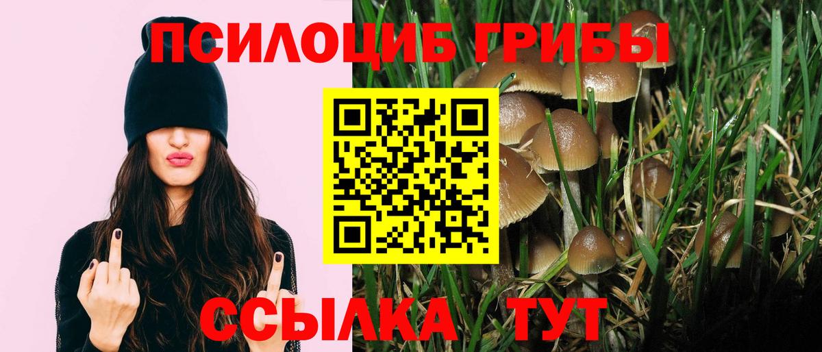 Псилоцибиновые грибы мухоморы Костомукша