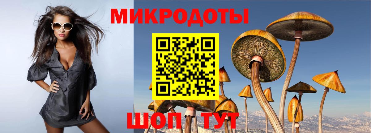 Костомукша  Псилоцибиновые грибы мухоморы  Вход с VPN 
